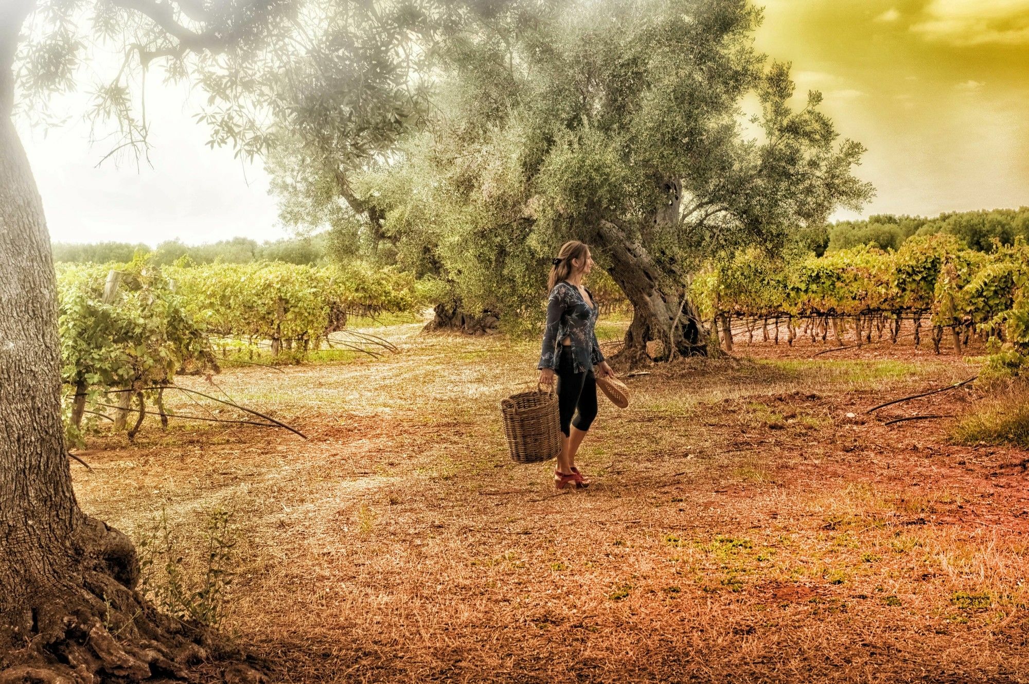 Masseria Le Fabriche Maruggio Extérieur photo